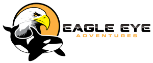 Eagle eye adventures logo