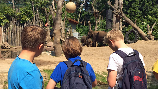 kinderen bekijken olifanten Yarden