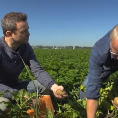 Hollandsche Hap – Holland Potatoes