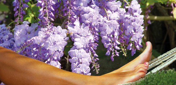 Tuin Idee 2015 – Het tuinevent