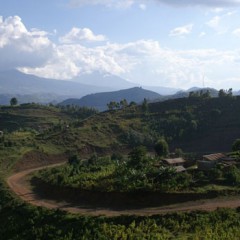 Pearl Afric