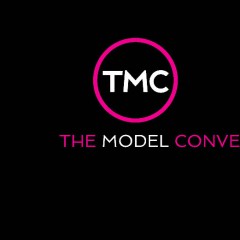The Model Convention