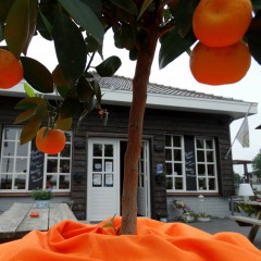 Gastvrijheid bij Orangerie Nijkerk aan Zee