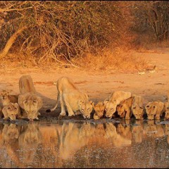 Afrikaya tours